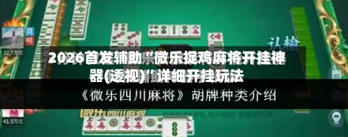 2026首发辅助“微乐捉鸡麻将开挂神器(透视)”详细开挂玩法-第2张图片