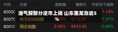 油气股部分逆市上扬 山东墨龙涨逾5%-第2张图片