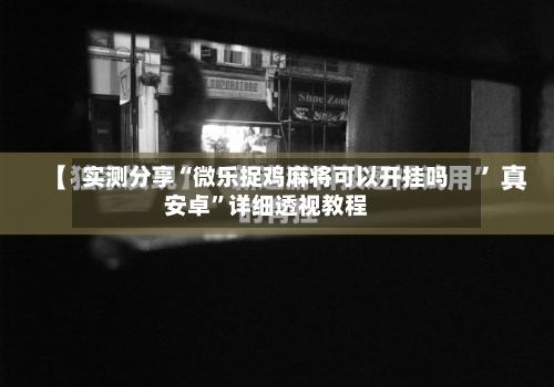 实测分享“微乐捉鸡麻将可以开挂吗安卓”详细透视教程-第2张图片