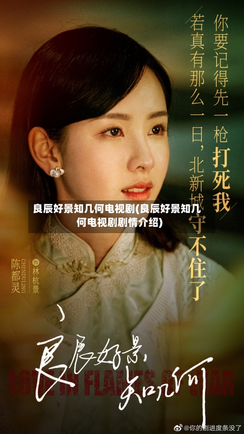 良辰好景知几何电视剧(良辰好景知几何电视剧剧情介绍)
