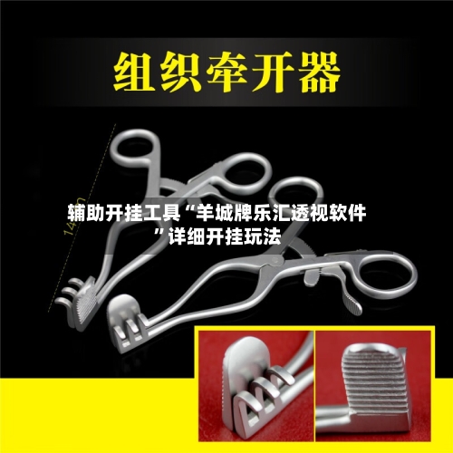 辅助开挂工具“羊城牌乐汇透视软件	”详细开挂玩法-第2张图片