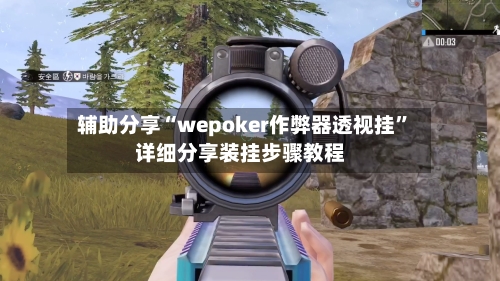 辅助分享“wepoker作弊器透视挂	”详细分享装挂步骤教程-第2张图片