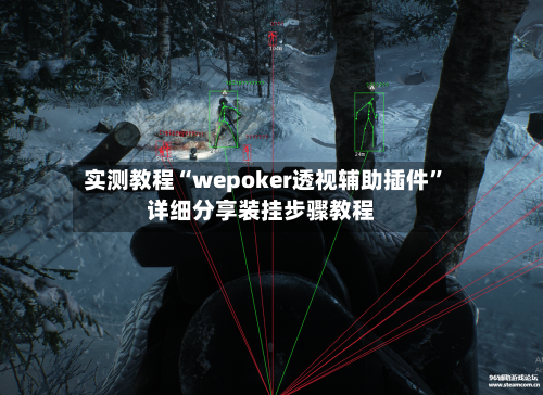 实测教程“wepoker透视辅助插件	”详细分享装挂步骤教程-第2张图片