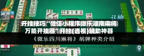 开挂技巧“微信小程序微乐湖南麻将万能开挂器”开挂(透视)辅助神器