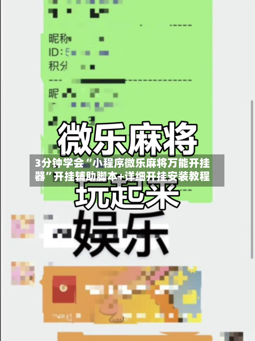 3分钟学会“小程序微乐麻将万能开挂器	”开挂辅助脚本+详细开挂安装教程-第2张图片
