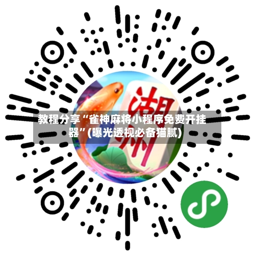 教程分享“雀神麻将小程序免费开挂器”(曝光透视必备猫腻)-第2张图片