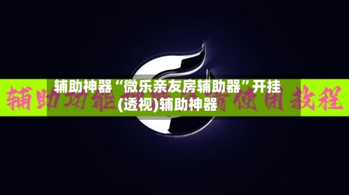 辅助神器“微乐亲友房辅助器”开挂(透视)辅助神器-第3张图片
