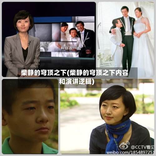 柴静的穹顶之下(柴静的穹顶之下内容和演讲逻辑)-第2张图片