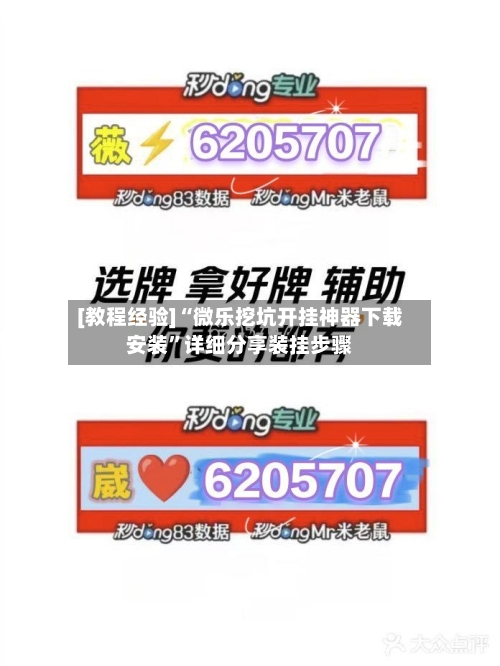 [教程经验]“微乐挖坑开挂神器下载安装”详细分享装挂步骤-第2张图片