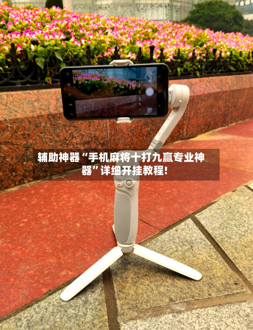 辅助神器“手机麻将十打九赢专业神器”详细开挂教程!-第2张图片