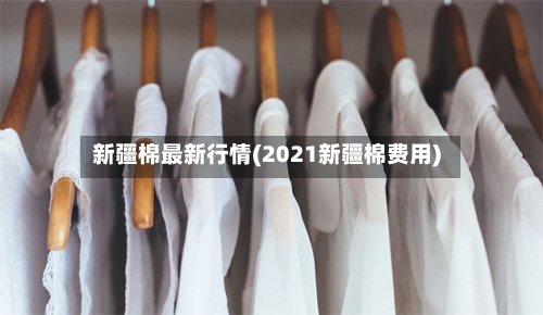 新疆棉最新行情(2021新疆棉费用)