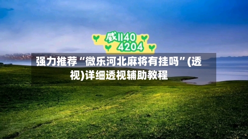 强力推荐“微乐河北麻将有挂吗”(透视)详细透视辅助教程-第2张图片