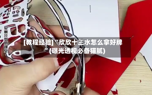 [教程经验]“欣欣十三水怎么拿好牌”(曝光透视必备猫腻)-第3张图片