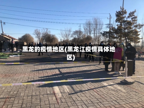 黑龙的疫情地区(黑龙江疫情具体地区)-第2张图片