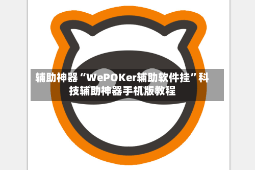 辅助神器“WePOKer辅助软件挂”科技辅助神器手机版教程-第2张图片