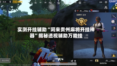 实测开挂辅助“闲来贵州麻将开挂神器”揭秘透视辅助万能挂-第3张图片