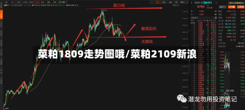 菜粕1809走势图哦/菜粕2109新浪-第2张图片