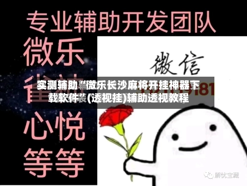 实测辅助“微乐长沙麻将开挂神器下载软件”(透视挂)辅助透视教程-第2张图片