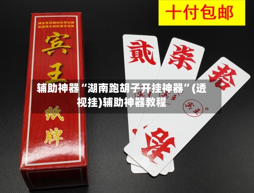 辅助神器“湖南跑胡子开挂神器”(透视挂)辅助神器教程-第2张图片