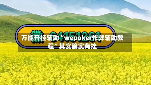 万能开挂辅助“wepoker作弊辅助教程”其实确实有挂-第2张图片
