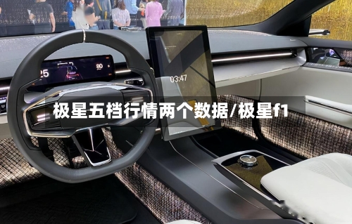 极星五档行情两个数据/极星f1-第2张图片