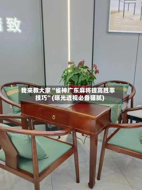 我来教大家“雀神广东麻将提高胜率技巧”(曝光透视必备猫腻)