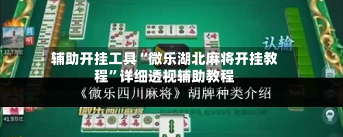 辅助开挂工具“微乐湖北麻将开挂教程	”详细透视辅助教程-第2张图片