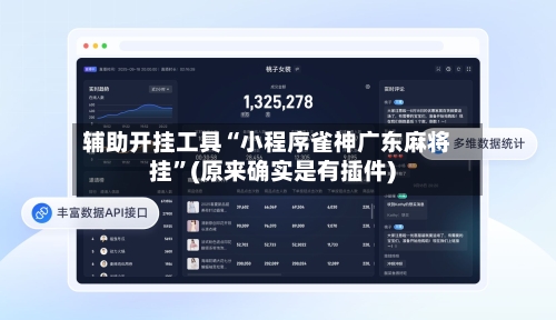辅助开挂工具“小程序雀神广东麻将挂”(原来确实是有插件)-第3张图片