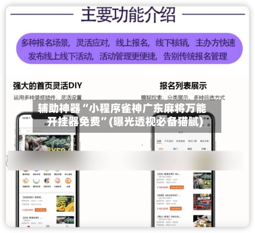 辅助神器“小程序雀神广东麻将万能开挂器免费	”(曝光透视必备猫腻)-第2张图片