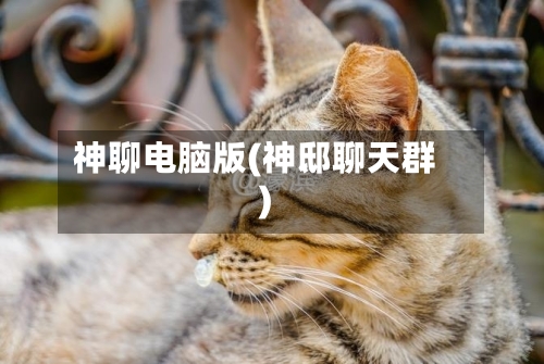 神聊电脑版(神邸聊天群)
