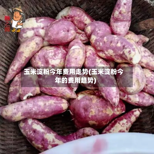玉米淀粉今年费用走势(玉米淀粉今年的费用趋势)