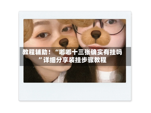 教程辅助！“嘟嘟十三张确实有挂吗”详细分享装挂步骤教程-第2张图片