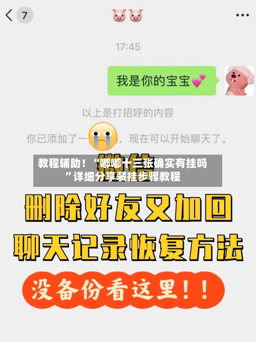 教程辅助！“嘟嘟十三张确实有挂吗”详细分享装挂步骤教程-第3张图片