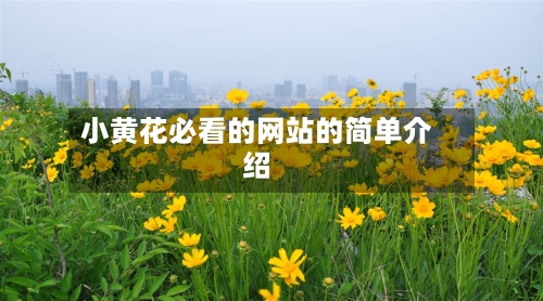 小黄花必看的网站的简单介绍