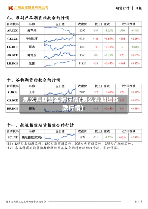 怎么看期货实时行情(怎么看期货涨跌行情)-第2张图片