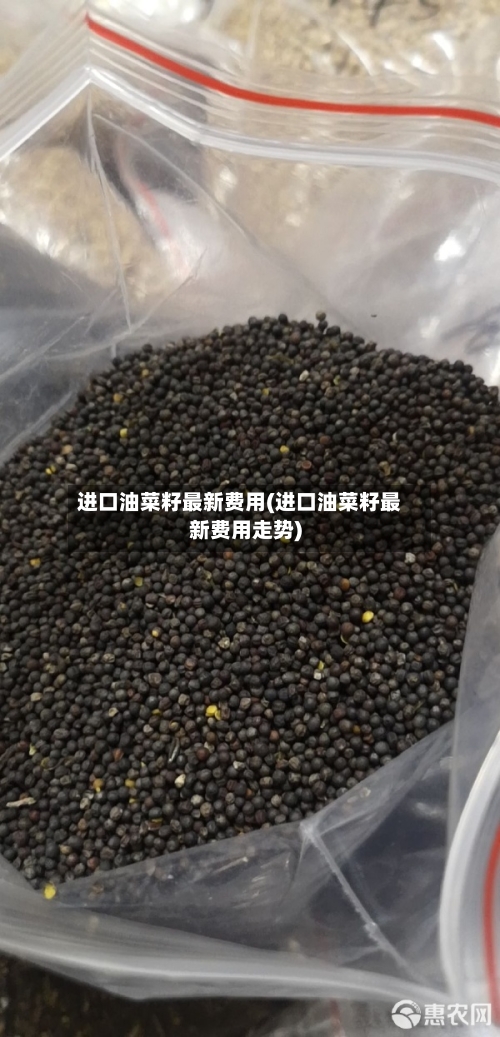 进口油菜籽最新费用(进口油菜籽最新费用走势)