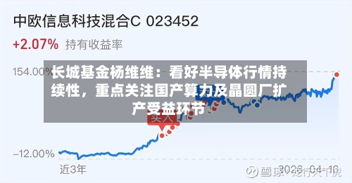 长城基金杨维维：看好半导体行情持续性，重点关注国产算力及晶圆厂扩产受益环节
