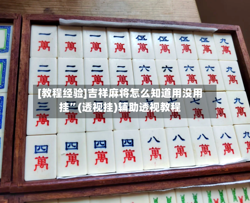 [教程经验]吉祥麻将怎么知道用没用挂	”(透视挂)辅助透视教程-第2张图片
