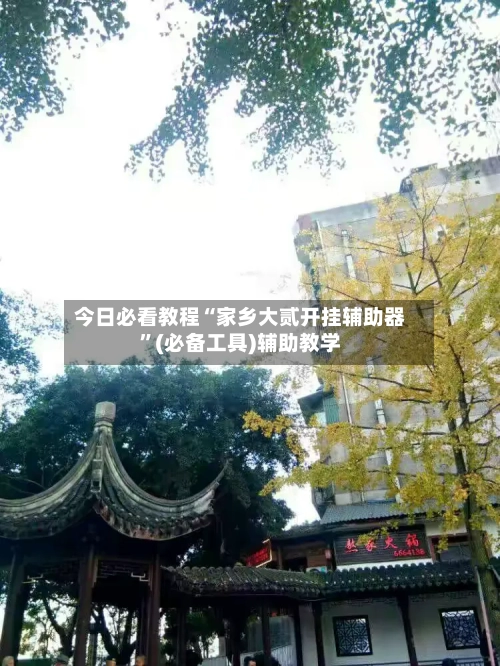 今日必看教程“家乡大贰开挂辅助器”(必备工具)辅助教学