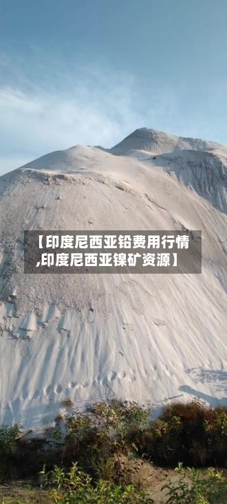 【印度尼西亚铅费用行情,印度尼西亚镍矿资源】-第2张图片