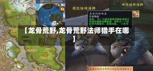 【龙骨荒野,龙骨荒野法师猎手在哪】-第2张图片