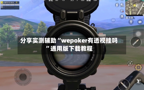分享实测辅助“wepoker有透视挂吗	”通用版下载教程-第2张图片
