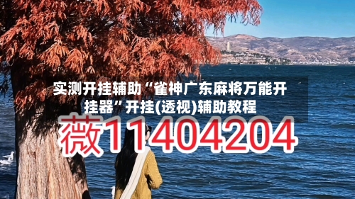 实测开挂辅助“雀神广东麻将万能开挂器”开挂(透视)辅助教程-第2张图片