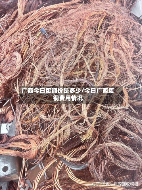 广西今日废铜价是多少/今日广西废铜费用情况