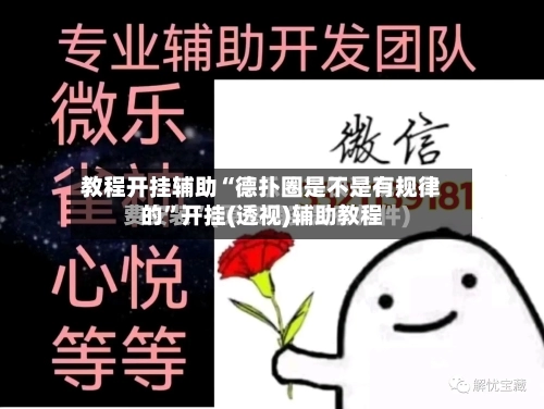 教程开挂辅助“德扑圈是不是有规律的	”开挂(透视)辅助教程-第2张图片