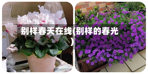 别样春天在线(别样的春光)