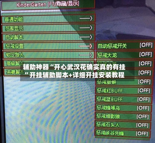辅助神器“开心武汉花确实真的有挂”开挂辅助脚本+详细开挂安装教程-第2张图片
