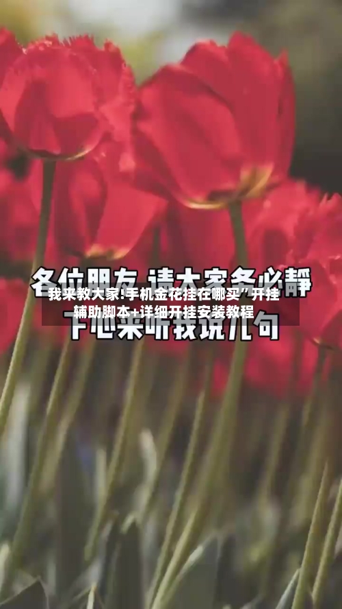 我来教大家!手机金花挂在哪买”开挂辅助脚本+详细开挂安装教程