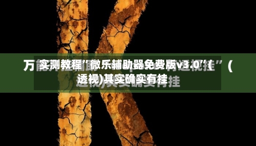 实测教程”微乐辅助器免费版v3.0”(透视)其实确实有挂