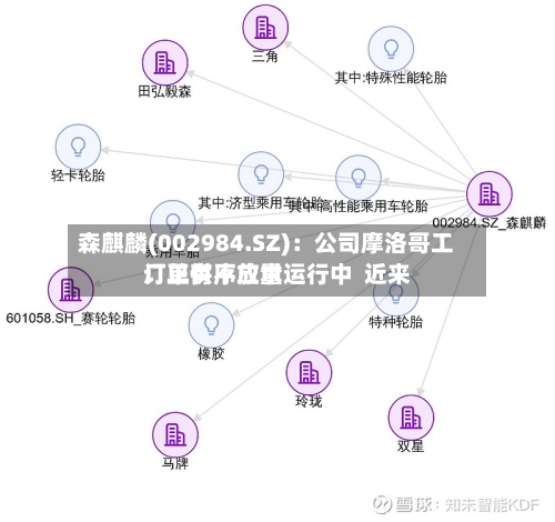森麒麟(002984.SZ)：公司摩洛哥工厂正有序放量运行中  近来订单供不应求